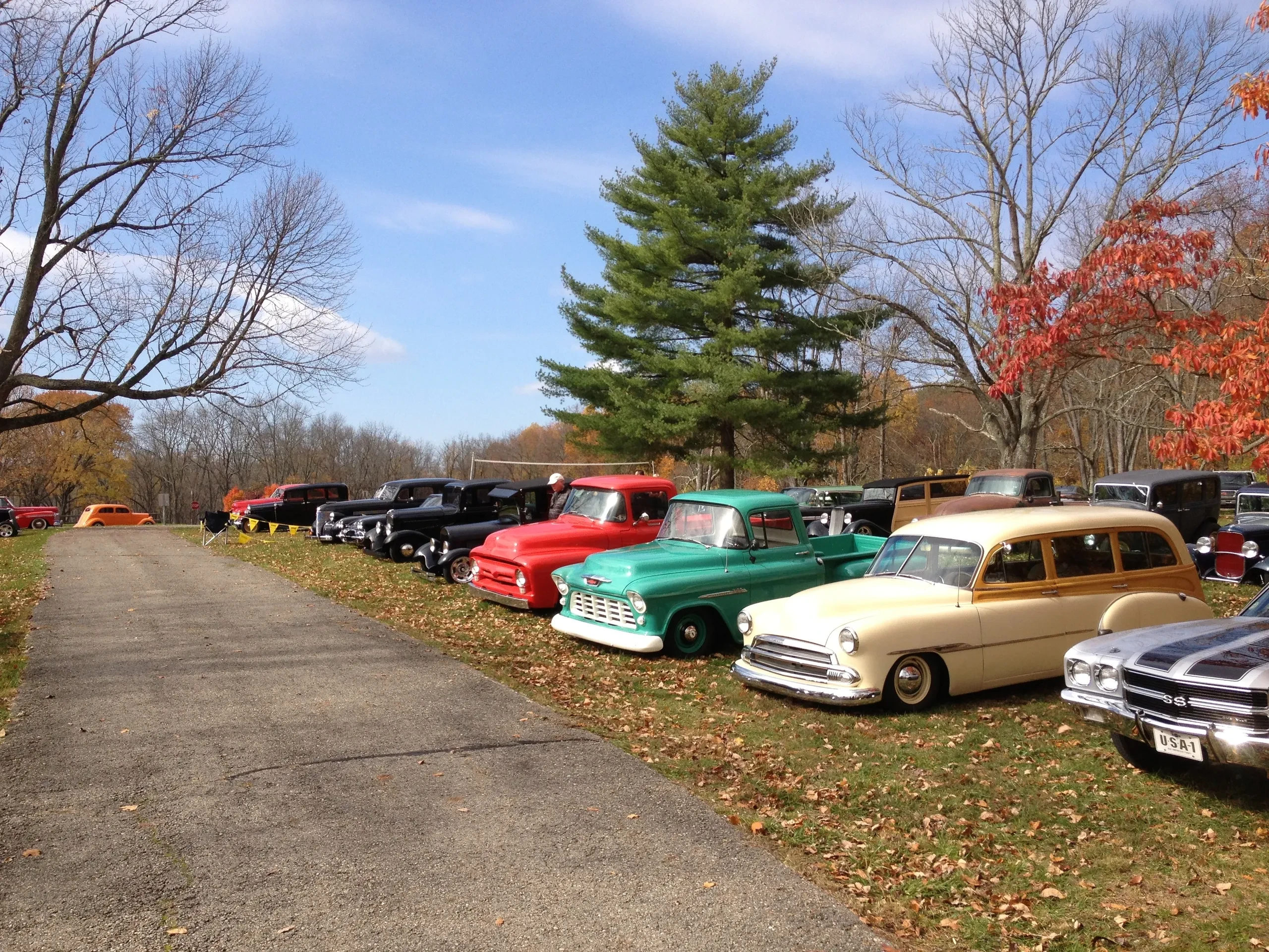 Colorful vintage cars lined up at autumn park